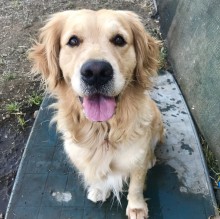 Immagine del profilo di Debora