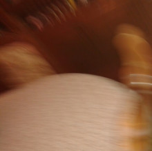 Immagine del profilo di Marina Dioguardi