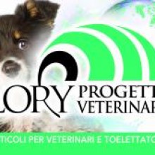 loryprogettiveterinari's avatar