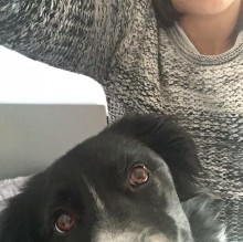 Angelasigno's avatar