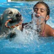 Immagine del profilo di Mia Labrador