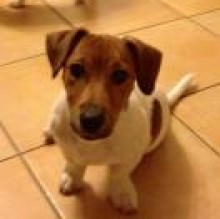 LeeroyGoldenpepper DerricoRoberta's avatar