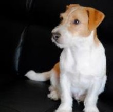 Immagine del profilo di zaccaria