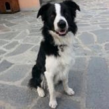 Arturo2012's avatar