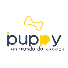 Alessandro Recchia's avatar