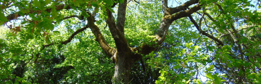 Cover di Marilena Candeloro Palermo