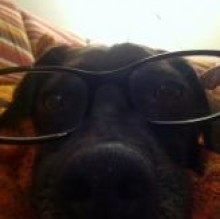 Avatar de Pippone