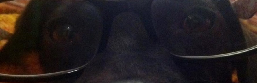 Pippone's cover