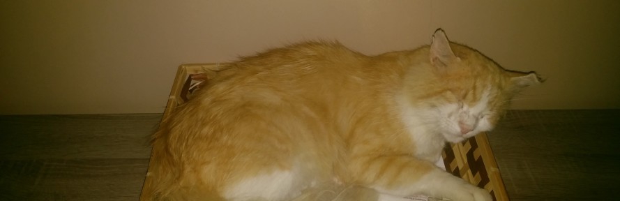 Stefania's couverture