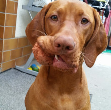 Michael Müller's avatar