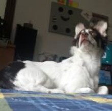Belle DiEgidio's avatar