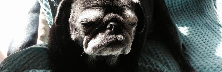 Maggie XXX's cover