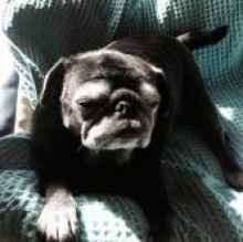 Maggie XXX's Avatar