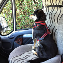 Giovanni Busseni's Avatar