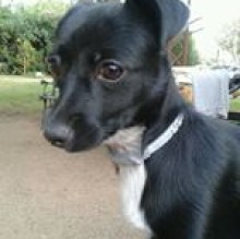 Avatar de Nimeria B