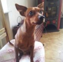 Avatar de ilewoody