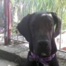 Avatar de Xena Opera