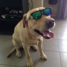 Avatar de Aaronscavo