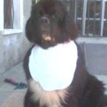 Avatar de noe2011