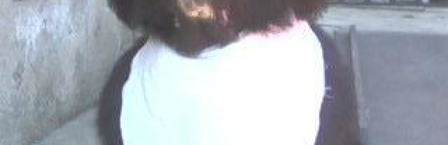 noe2011's cover