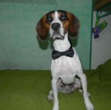 Avatar de Luckysss