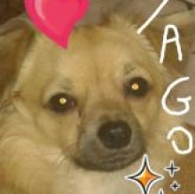 Yagoduke's avatar