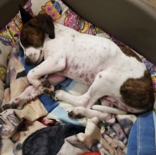 Vanessa Falcone's avatar