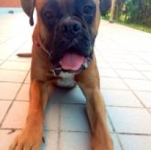 Avatar de Bryce RosellaMusico