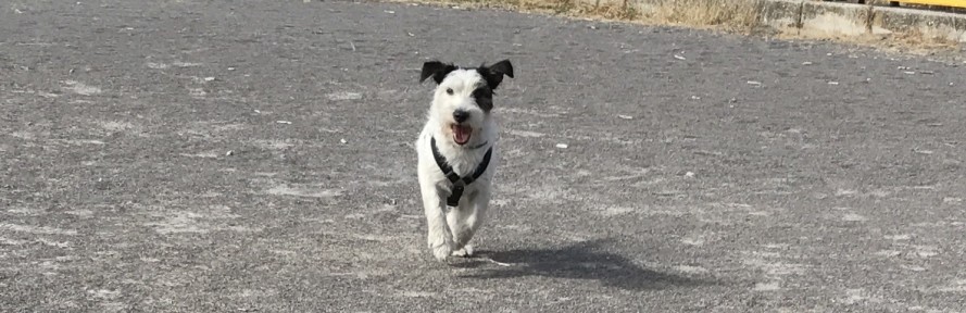 Cover di NinaSuperstar