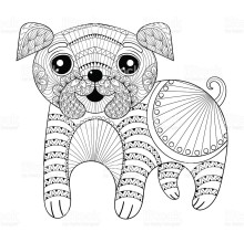 Immagine del profilo di Deborah Virgilio