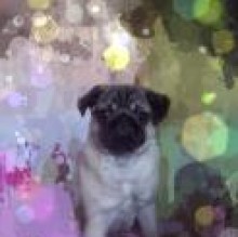 Duchessa Agnani's avatar