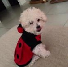 Mia LaBarboncina's avatar