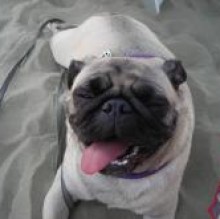 GIOVANNA's avatar