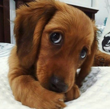 Maria campus's avatar