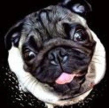 Garcia Puggoso's avatar