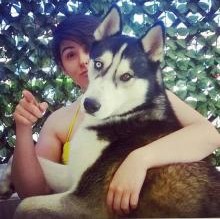 Avatar de MaxSiberian