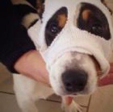 DjangojackRussel's avatar