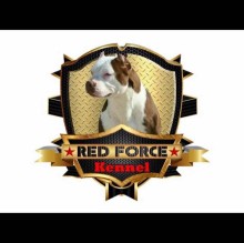 Immagine del profilo di Gianni Pinto