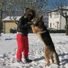 Irene Bianchini's avatar