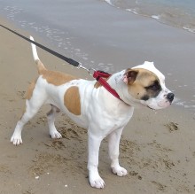 Immagine del profilo di Rayden