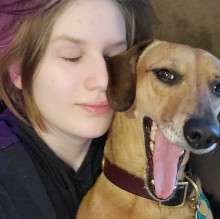 Blue Wolfie's avatar