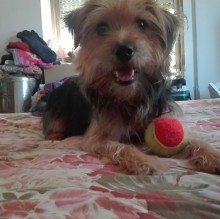 Giovanna Colarullo's Avatar