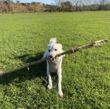 Immagine del profilo di Matteo Valentini