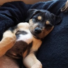 Immagine del profilo di Massimo Di Marco