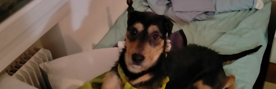 Cover di Massimo Di Marco