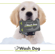 Immagine del profilo di Wash Dog Roma Magliana