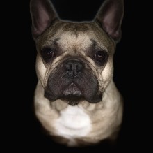 Immagine del profilo di Yomo