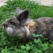 Patrizia Emilia's avatar