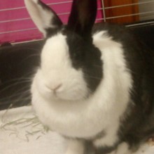 Guga La Rocca's avatar