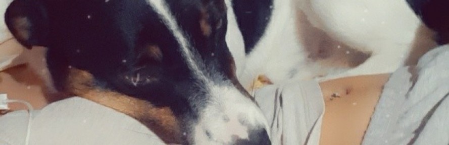 Martina  Antonia 's cover